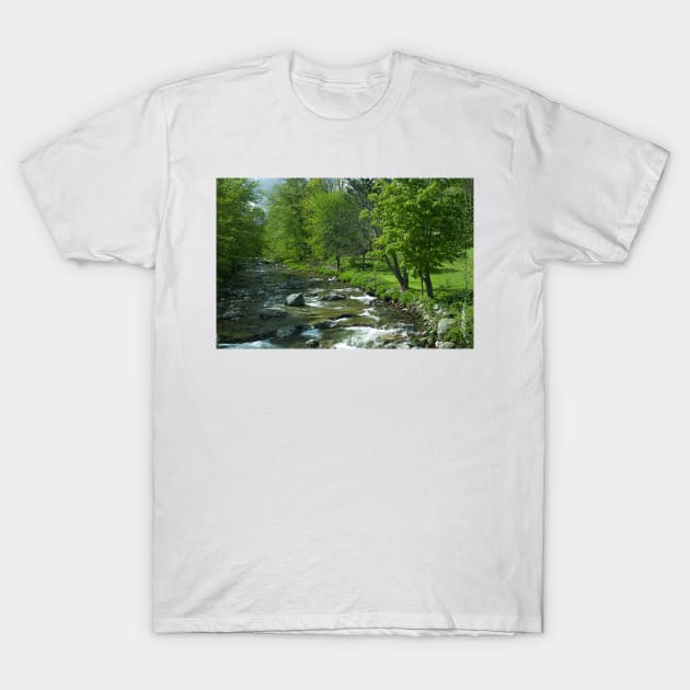 Spring on the Tweed River T-Shirt by srwdesign